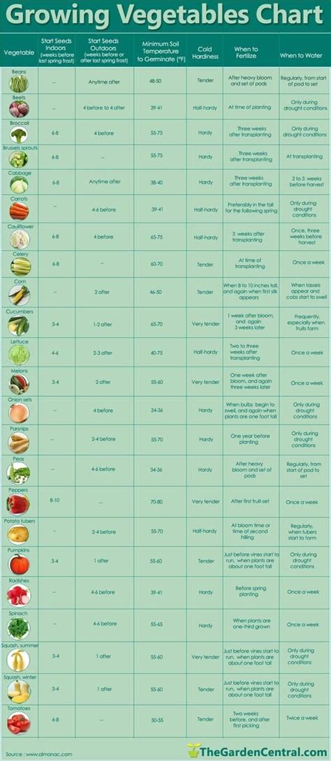 growing vegetables chart1 | Growing vegetables, Vegetable chart, Veggie garden