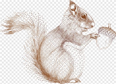 Squirrel Acorn Drawing Illustration, Dot squirrel, watercolor Painting, mammal png | PNGEgg