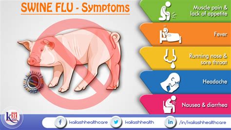 Symptoms of Swine Flu