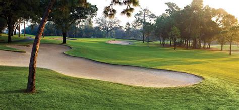 Innisbrook Resort & Golf Club - Copperhead Course Tee Times - Palm ...