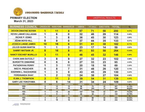 FHBC Primary Election Unofficial Results – March 31st | Shoshone ...