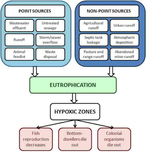 Eutrophication Causes