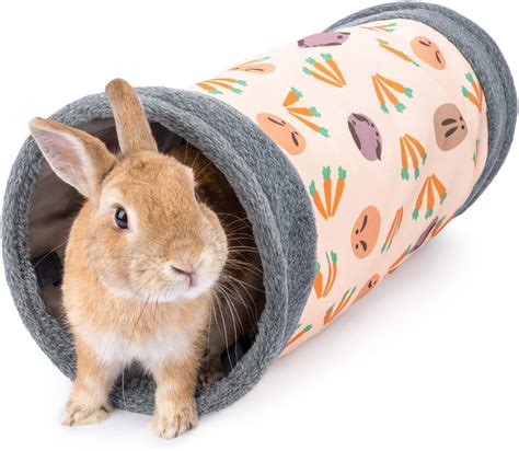 Amazon.com : Niteangel Guinea Pig Tubes & Tunnels for Dwarf Rabbits Bunny Guinea Pigs and other ...