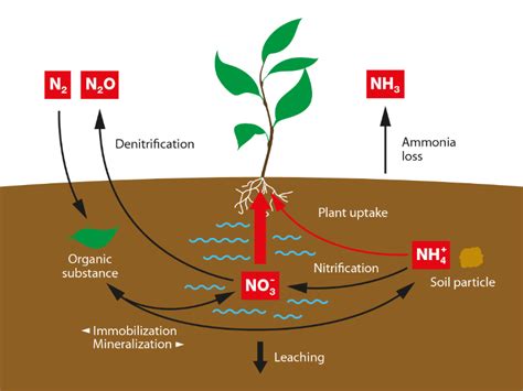 K+S Minerals and Agriculture GmbH - Nitrogen