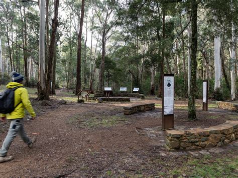 Stringybark Creek Camping Area, Attraction, High Country, Victoria, Australia