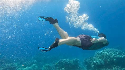 Snorkeling at Captain Cook: Everything You Need to Know About The Best ...