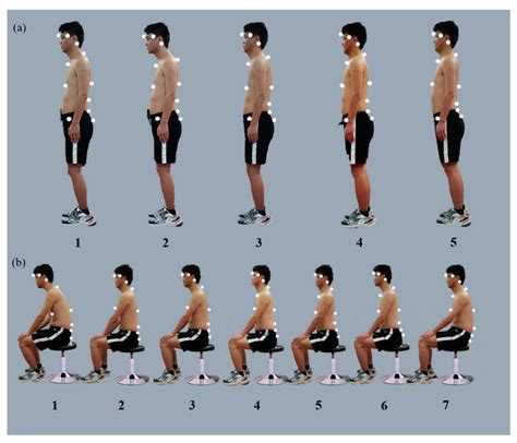 Bioengineering | Free Full-Text | Rehabilitation Practitioners’ Perceptions of Optimal Sitting ...