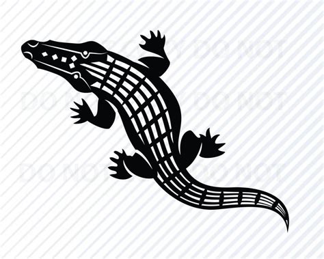 Clipart alligator vector, Clipart alligator vector Transparent FREE for download on ...