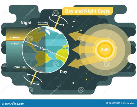 24 Hours Day and Night Cycle Vector Diagram Stock Vector - Illustration ...