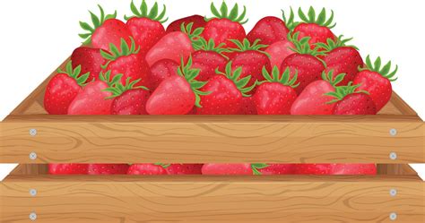 Strawberry. Wooden box with ripe strawberries. A ripe red berry in a ...