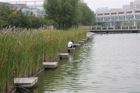 shenyang architectural university campus (Kongjian YU + Shihong LIN) Natural Swimming Ponds ...