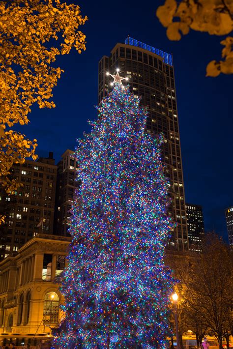 Chicago Christmas Tree Lighting 2024 - Eilis Harlene