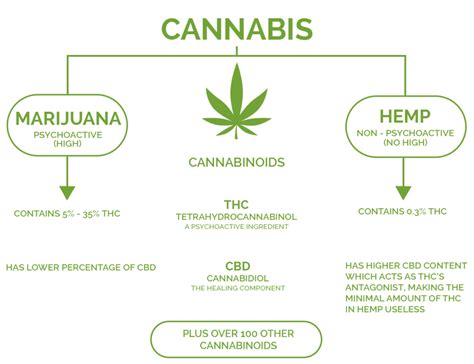 HEMP vs CBD vs THC - Cannabis Care Clinic