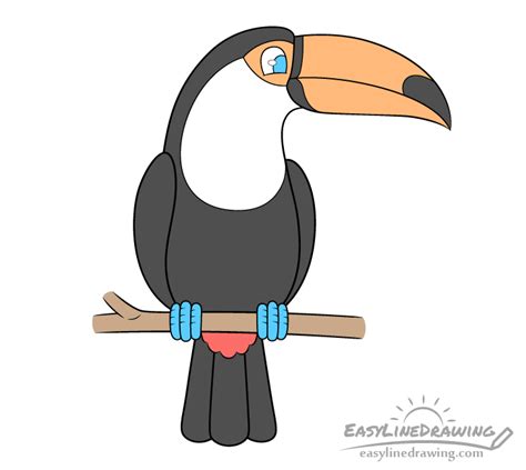 How to Draw a Toucan Step by Step - EasyLineDrawing