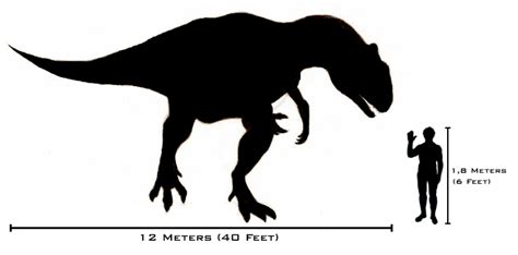 File:Human-allosaurus size comparison.png - Wikimedia Commons