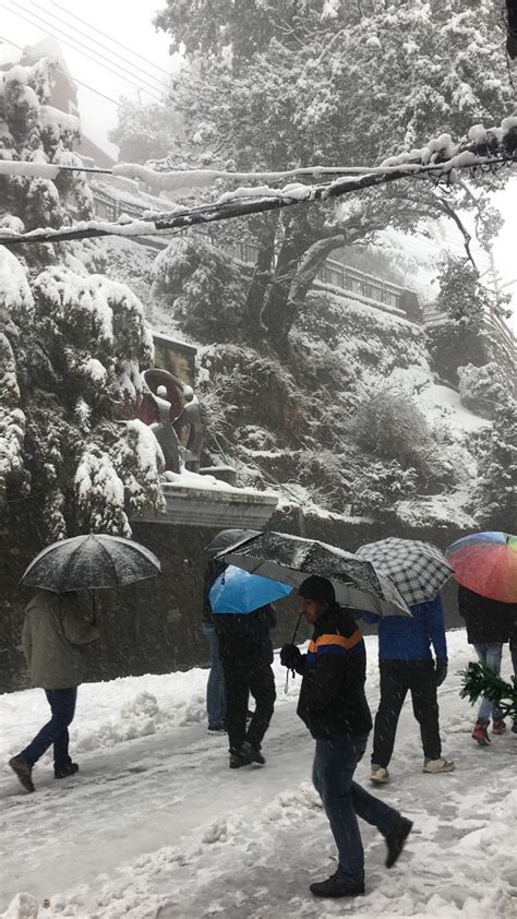 Fresh Snow Fall in Shimla and other Regions of HP - Newsonline.media