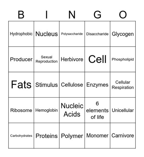 MACROMOLECULES Bingo Card