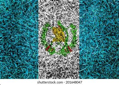 Guatemala Flag Color Grass Texture Background Stock Photo 201648047 | Shutterstock