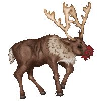 Reindeer Stickers - Find & Share on GIPHY