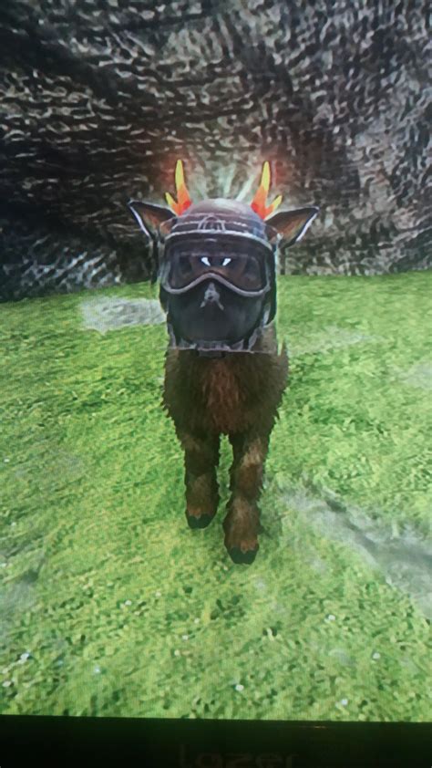 A shinehorn in riot helmet... : r/ARK