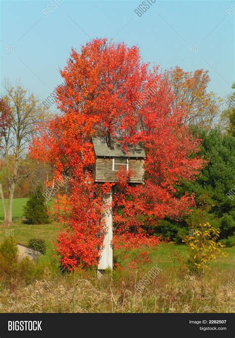 Unusual Tree House Image & Photo (Free Trial) | Bigstock