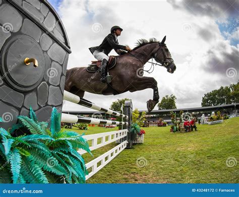 Horse jumping competition editorial photography. Image of jumping - 43248172