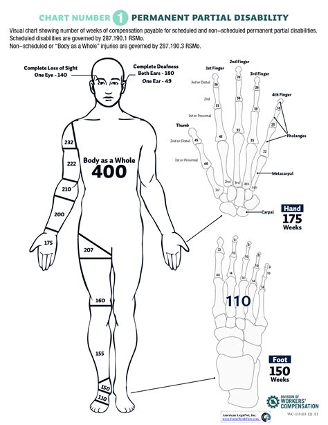 Body Chart