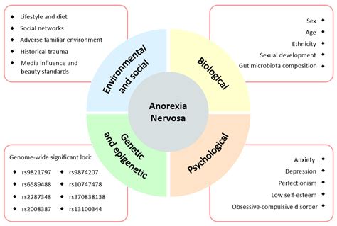 Anorexia Nervosa Chart