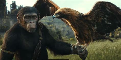 Kingdom Of The Planet Of The Apes' Timeline Tease Goes Against The Most ...