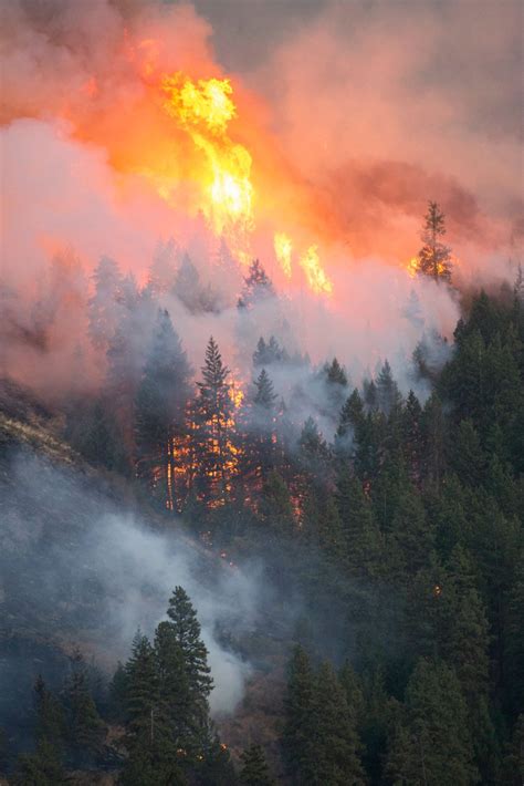 Chelan Fires; First Creek Fire, Okanogan-Wenatchee NF, WA, 2015 | Wildland fire, Wild fire ...