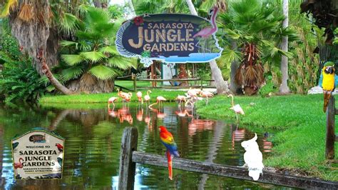 Sarasota Jungle Gardens