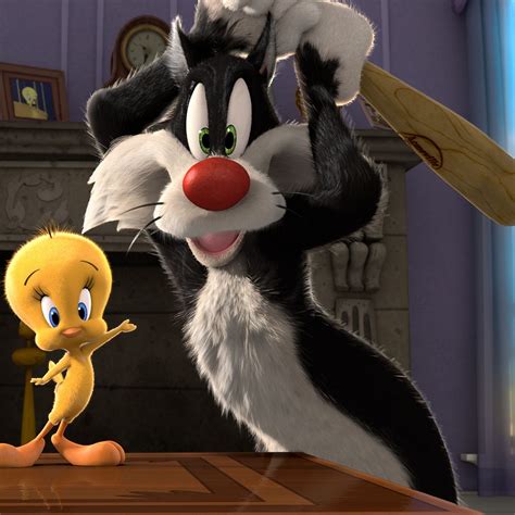 Sylvester and Tweety | Piu piu e frajola, Wallpaper de desenhos ...