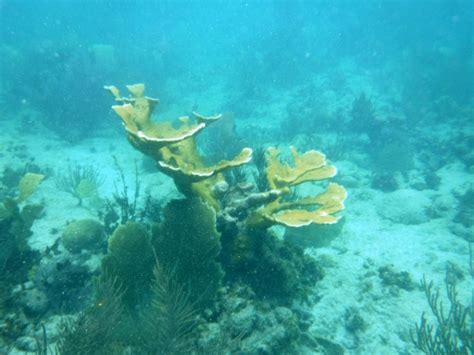 Snorkel boat East Island Excursions Culebra Puerto Rico