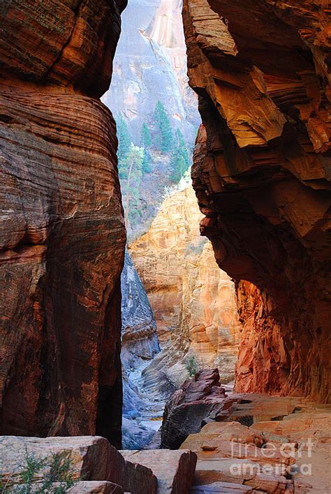 Slot Canyon Pass Observation Point Zion Photograph by Kate Sumners - Pixels