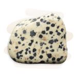 Dalmatian Stone Meaning, Properties & Chakras | Crystalyze