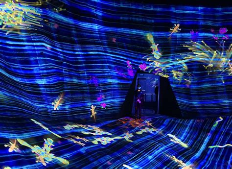 teamLab creates ‘SuperNature’ experience for Macao audience | Macao News