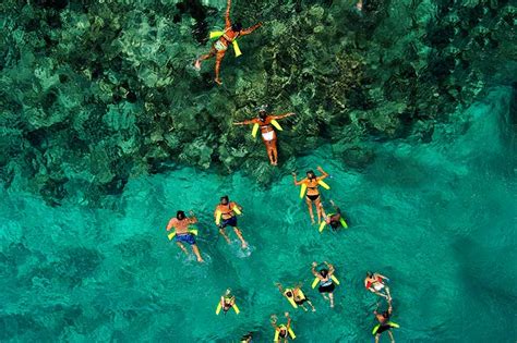 Punta Cana Snorkeling: The Best Places in the Dominican Republic | Amstar Tours