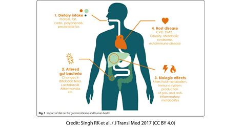 A recent review explores the impact of dietary components and dietary ...