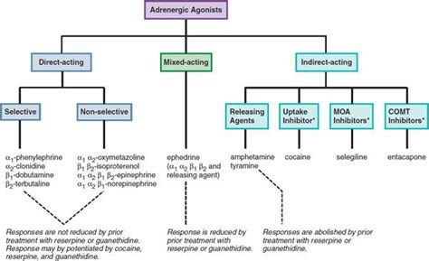 Adrenergic Agonist Side Effects