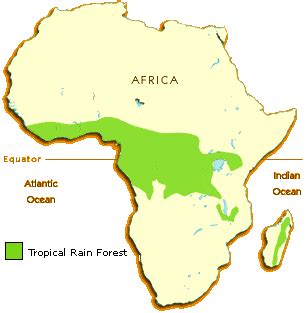 Facts about Tropical Rainforests YouTube ~ Source of MAP