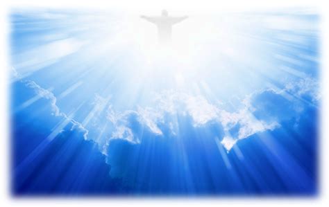 Download A La Pregunta - Angel Wings In Heaven | Transparent PNG ...