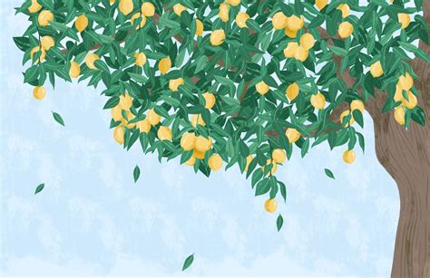 Lemon Tree Wallpapers - Top Free Lemon Tree Backgrounds - WallpaperAccess