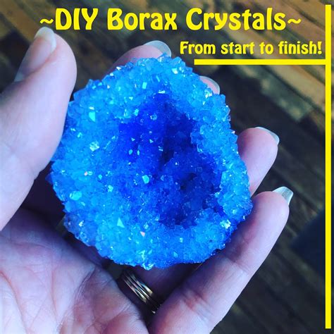 Easy Borax Crystals From Start to Finish * Science experiments