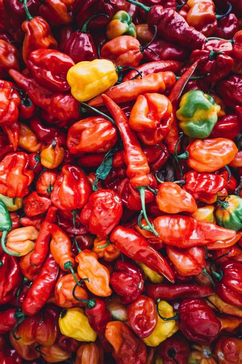 Filipino Chilli: Learn About These 2 Varieties | Tatler Asia