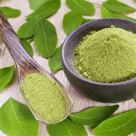 How to use moringa leaves for skin care Legit.ng