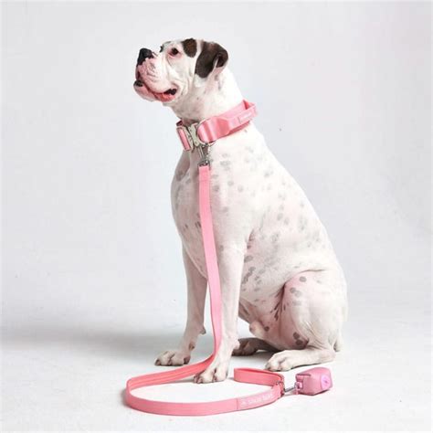 Tactical Collars – SPARK PAWS