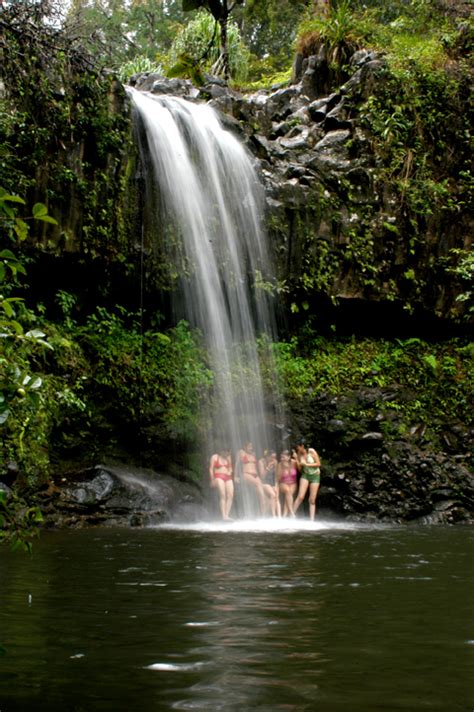 Maui Waterfall Hike & Swim - Maui Sights and Treasures