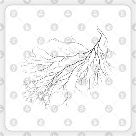 Mycelium (pencil drawing) - Mycelium - Sticker | TeePublic