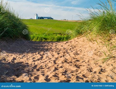 Coastal Farm Landscape stock photo. Image of farm, island - 26461960