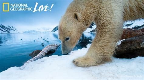 National Geographic Live! - Into the Arctic Kingdom - Tuesday, January ...